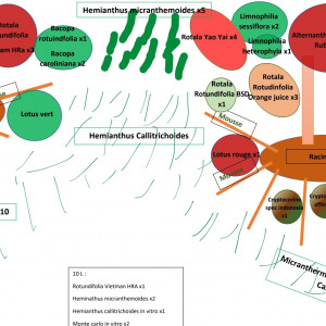 Publication de MrJo