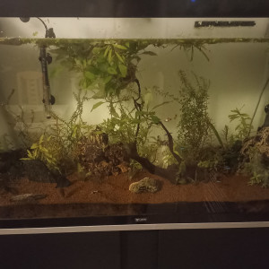 Aquarium