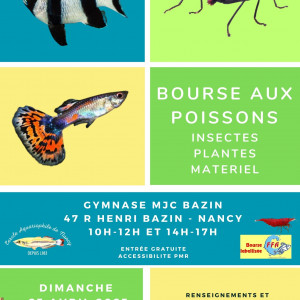 Bourse aux poissons, insectes et plantes