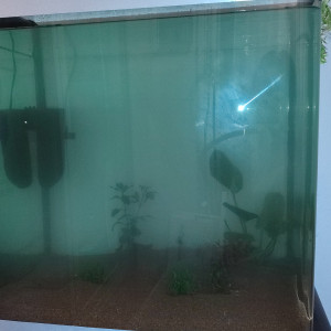 First aquarium