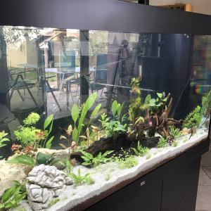 Mon Aquarium