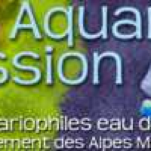 club aquariophilie Aquario-passion