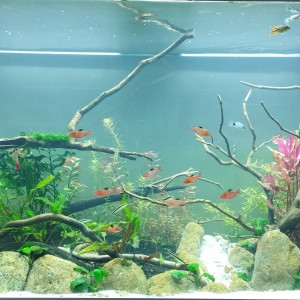 500L