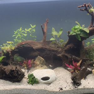 Aquarium