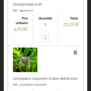 Publication de Louloushrimp