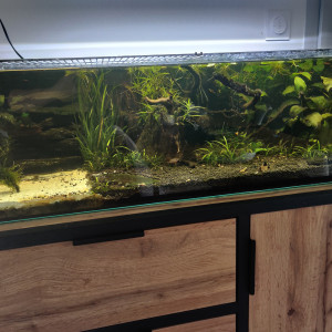 Turtle home