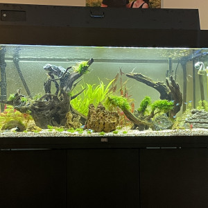 Max 180l