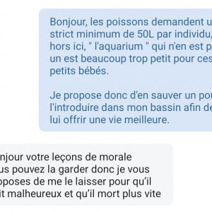 Publication de Koala75000