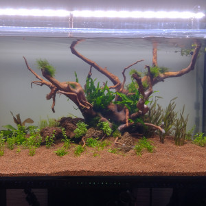 120L