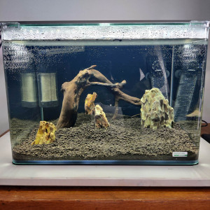Nano asiatique 35 L