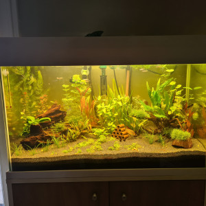 90L
