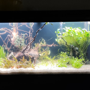 180l