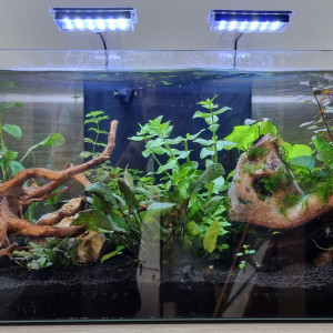 Zoolux IDRO 60 54L
