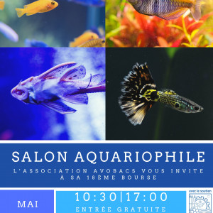 Salon Aquariophile Avobacs / Bourse Aquariophile d'Argenteuil (95)