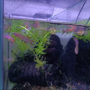 Publication de Killi26