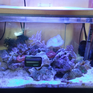 60 L