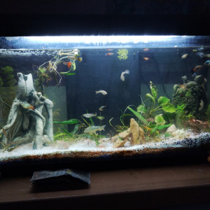 Publication de Melanie7362