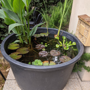 Bassine 2