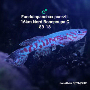 Publication de Killi26
