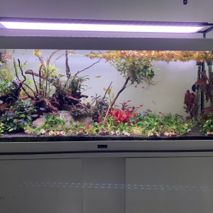 160 litres