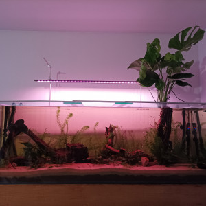 500L