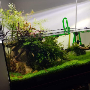 60l Emergé