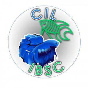 club aquariophilie CIL-IBSC