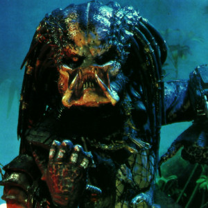 Predator