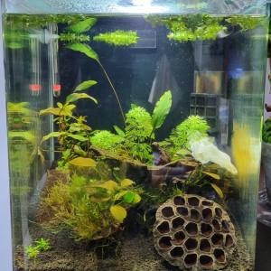 Cube 30L