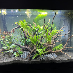 Projet 160 litres