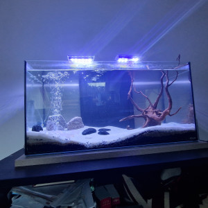 Aqua 60