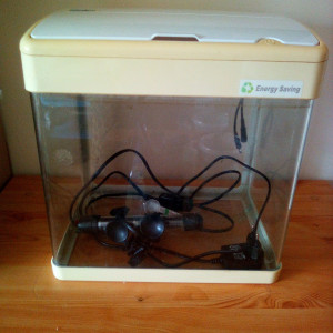 Aquarium 19L
