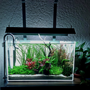 60L CC