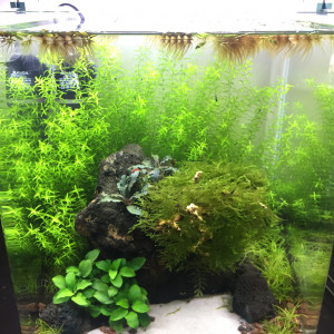 Nano 30L