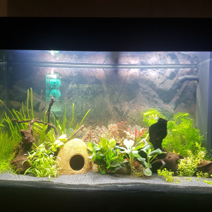 Juwel 125