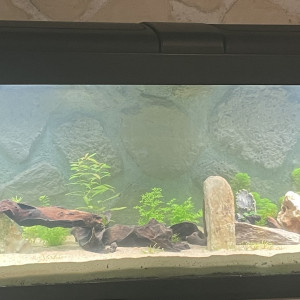 Aqua 500 litres