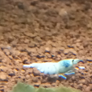 Aquatrip