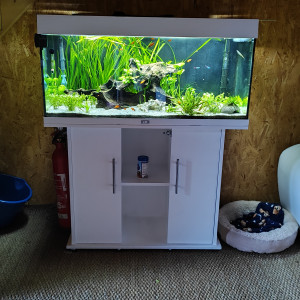 180l