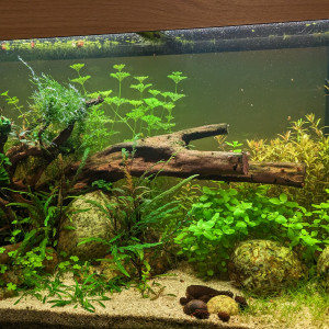 Rio 125l