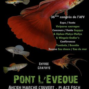 Bourse Pont l'évêque