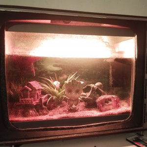 Ma Télé cathodique