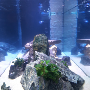 Publication de Aquapassion34410