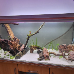 450l