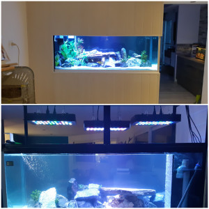 Publication de Aquapassion34410