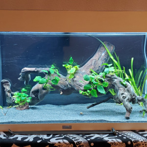 Stef0535