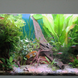 120L