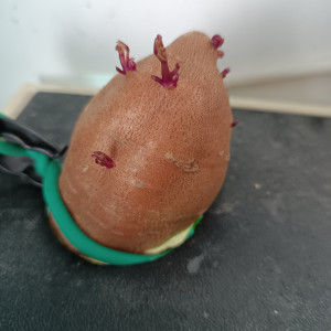 Publication de Delflabelette
