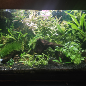 Salon 100L