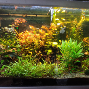 Chambre 200L