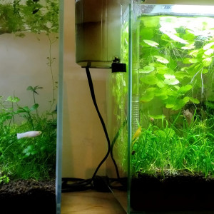 Aquarium 15 litres